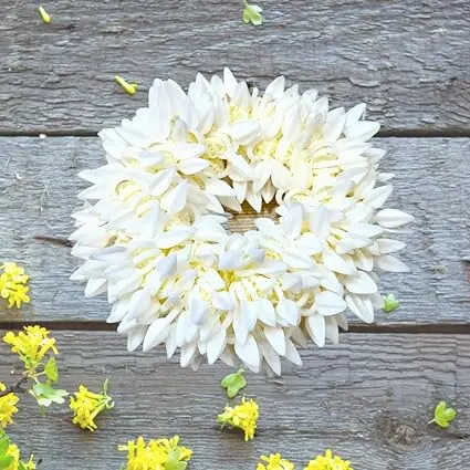 Wedding Gajra, Scrunchie Gajra Bracelet, Hand Gajra, Indian Wedding Floral Jewelry Gajra, Mogra Gajra, Elastic Gajra for Hair 3