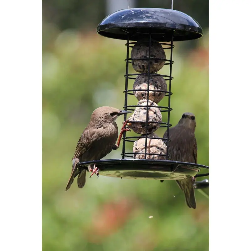 Henry Bell Heavy Duty Fat Ball Feeder Black 2