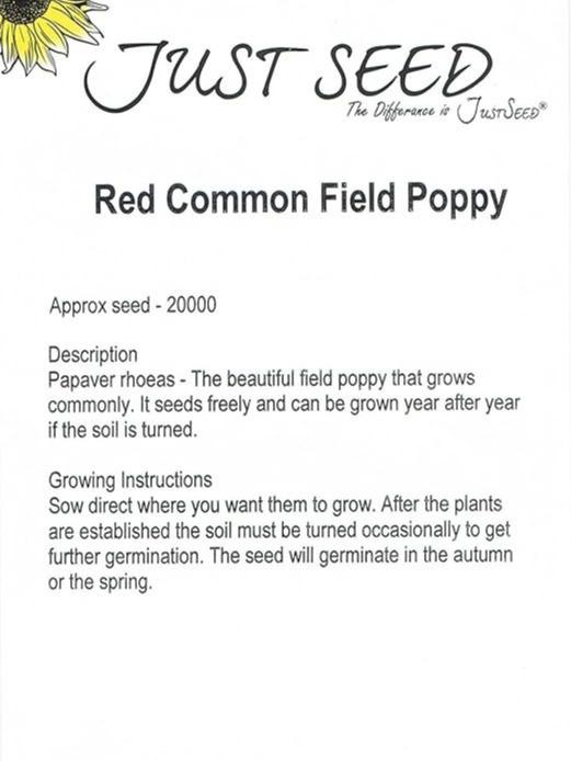Wild Flower - Red Common Field (Flanders) Poppy - Papaver rhoeas - 20000 Seed 2