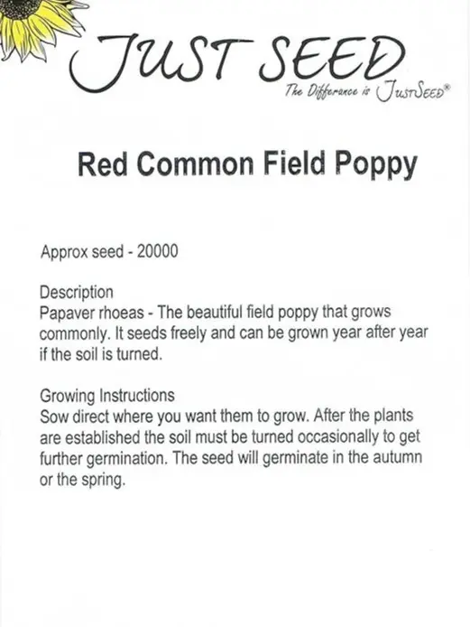 Wild Flower - Red Common Field (Flanders) Poppy - Papaver rhoeas - 20000 Seed 2