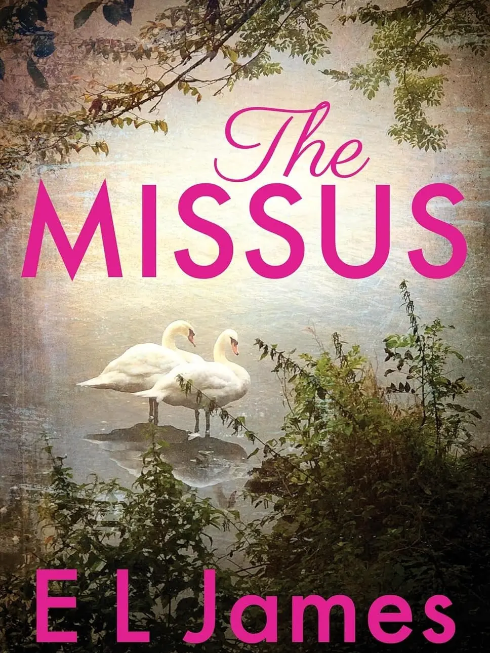 The Missus: a passionate and thrilling love story by the global bestselling author of the Fifty Shades trilogy Paperback – 20 Jun. 2023 by E L James (Author)