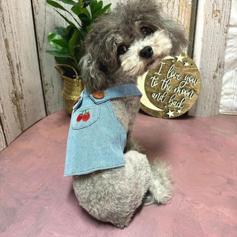 Cute Summer Denim Dog Dress 1