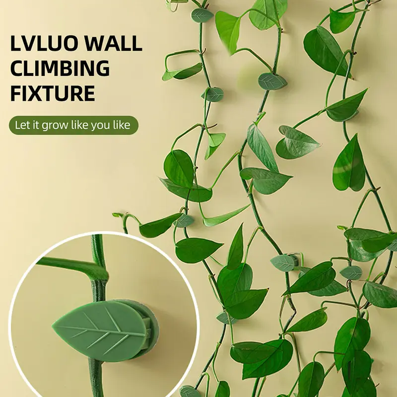 10PCS Climbing Plant Wall Clips Invisible Fixture Hook Clip Vine Sticky Vines 4