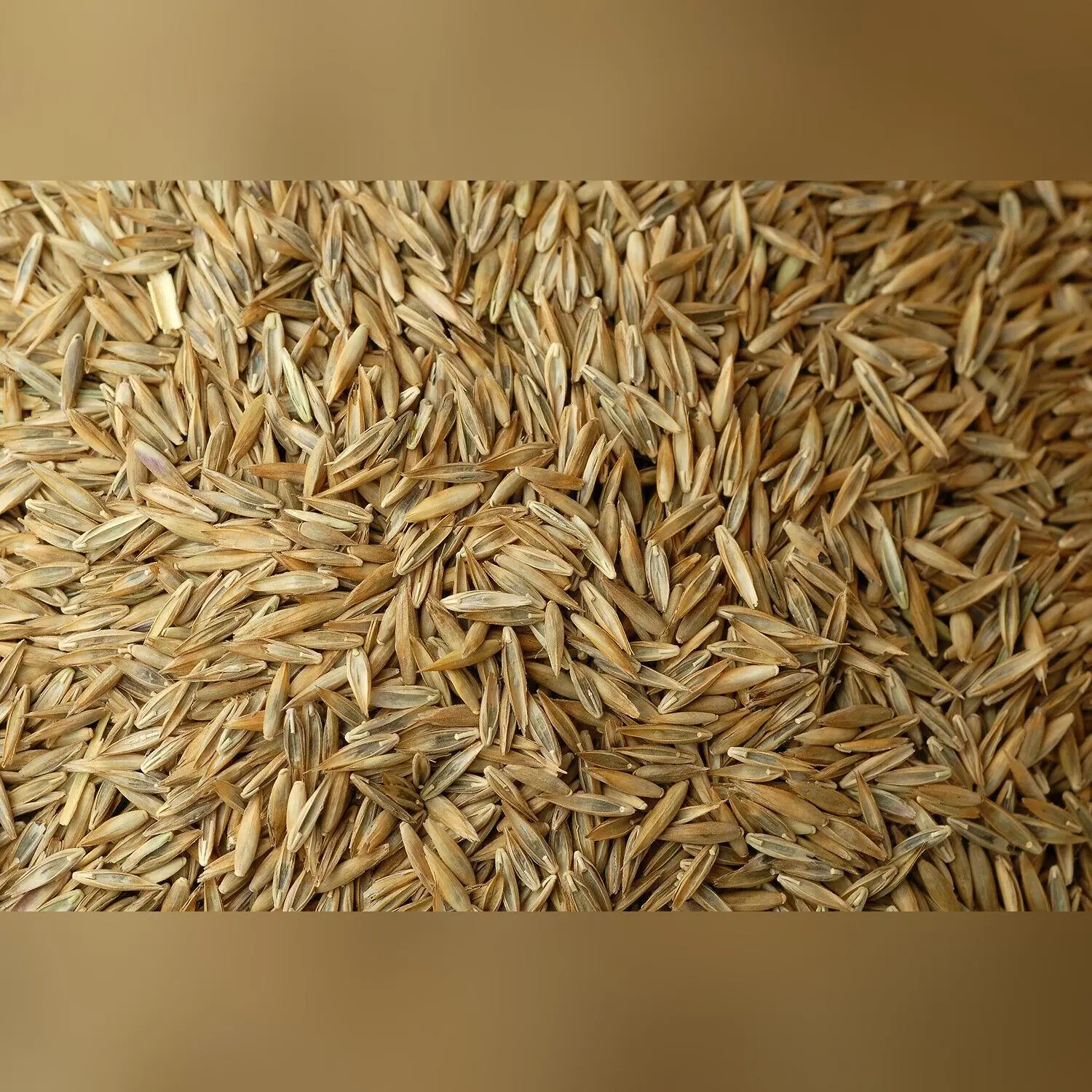 Johnsons Lawn Seed With Rye - 100g, 250g, 500g, 1kg, 2kg, 3kg, 4kg or 5kg Grass