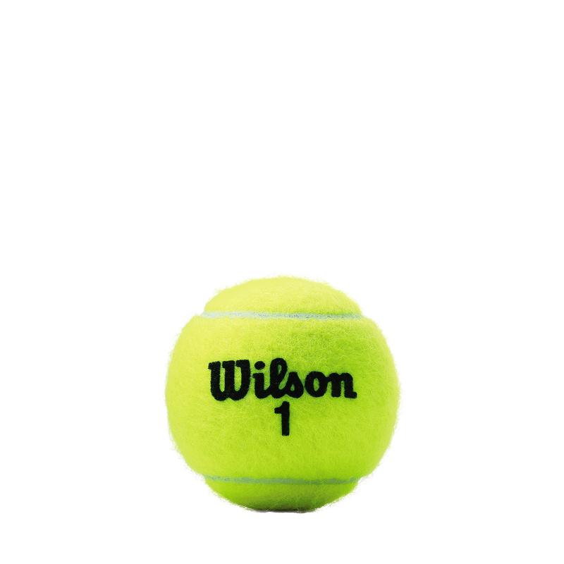 Wilson Champ Extra Duty Tennis Balls 1