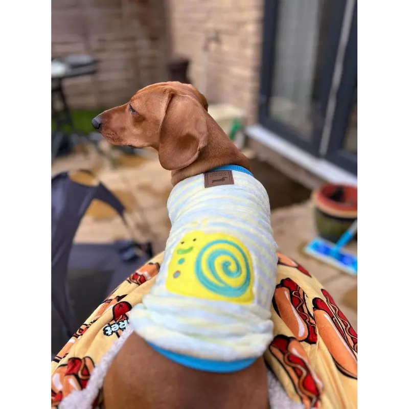 Speedy Snail - Sausage Dog Box Dachshund PJ's/Jumper 3