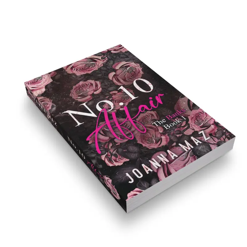 Number 10 Affair - paperback (alternate cover edition) 4