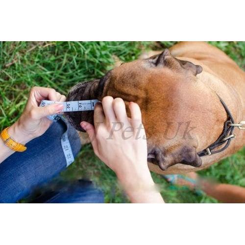 Metal Basket Muzzle for American Bully, XL  Bully and other dogs. 6