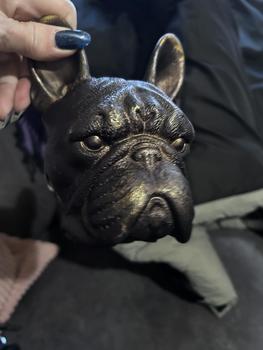 Product Review of French Bulldog Resin Ornament Home Bust Indoor Decoration Puppy Dog Statue from m**4 1