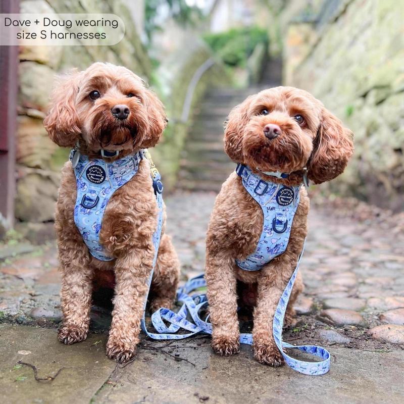 Disney© Tough Trails™ Harness - Eeyore 6