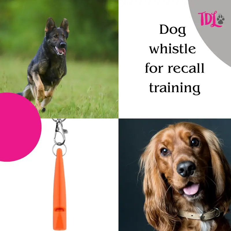 TDL Gun Dog Training Whistle with Lanyard - Dog Whistle with Loud, Solid Tone & Far Reaching Sound - Ideal High-Frequency Long-Distance Dog Recall Whistle for Most Breeds - TDL is the only Genuine supplier of the TDL Gundog Whistle 7