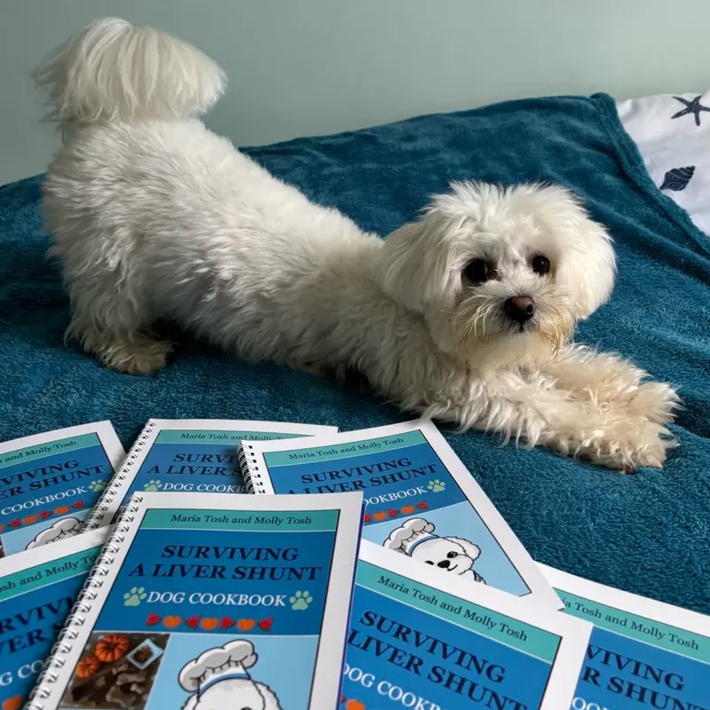 Dog Recipe Book: Surviving a Liver Shunt - low protein dog recipe book - digestive care for dogs 4