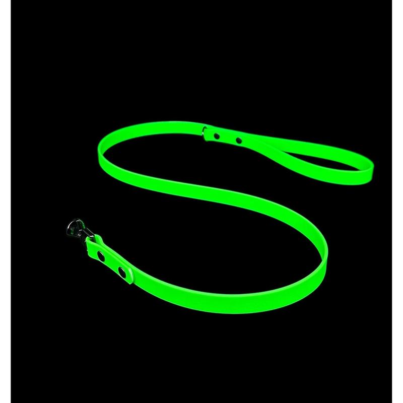 Biothane Dog Lead | Strong Webbing with Waterproof Rubber Coating | Sizes from S to L | All colours available 3