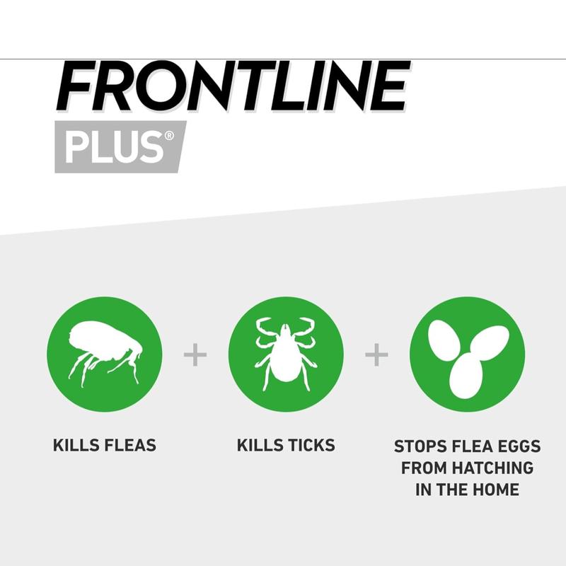 Frontline Plus Spot-On Flea and Tick Treatment for Small Dogs (2kg-10kg) - 6 Pipettes 4