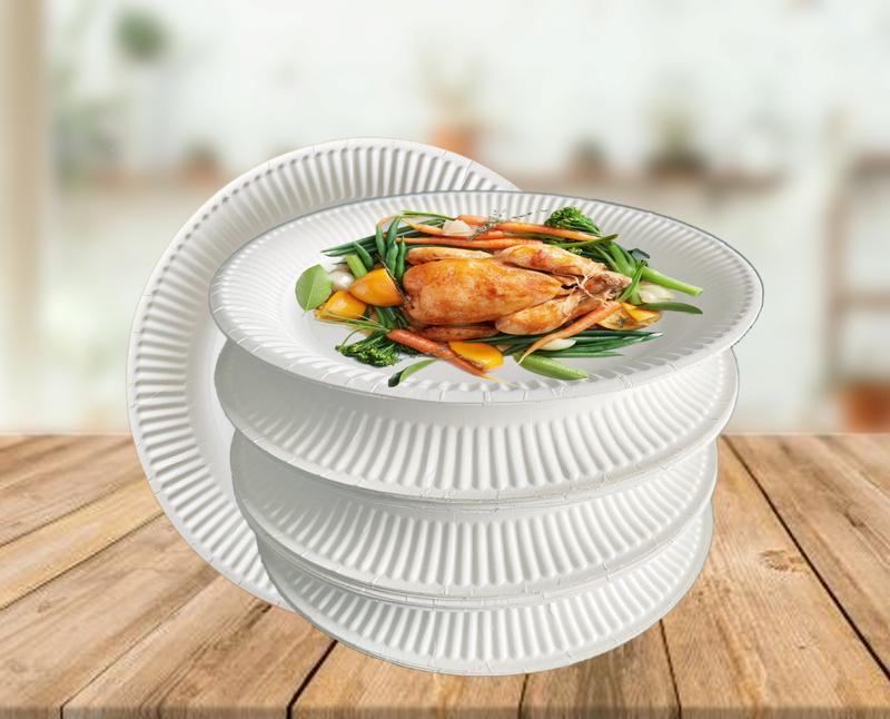 White Paper Plates 100 - 9 Inch Party Plates, 23 cm Picnic Plates - Strong Disposable Plates for Hot Food - Disposable Tableware for Birthday, Office, or Home Party Food 5