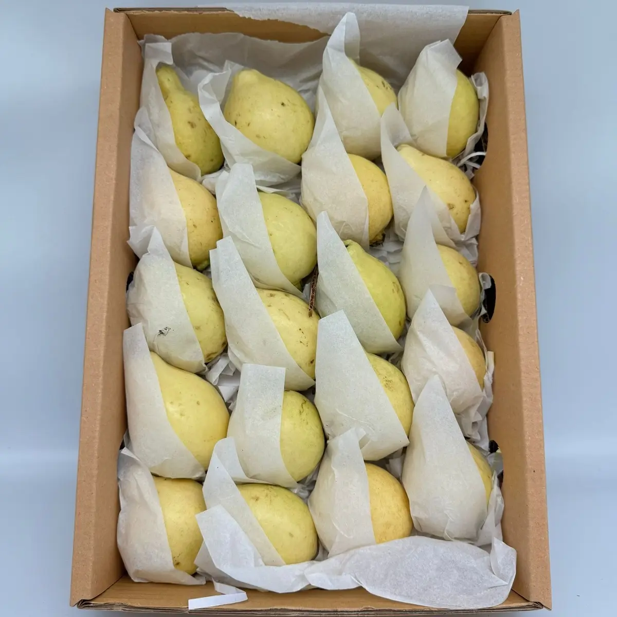 Egyptian Guava 2kg box Fresh Fruit