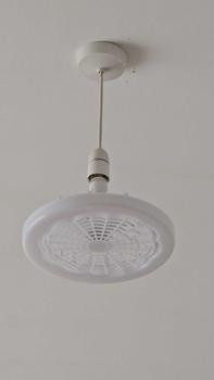 Product Review of Ceiling Fan with LED Lights for Bedroom, 3-speed LED Fan Lamp, Modern Remote Control Fan with LED Light, Indoor Cozy Lighting, Decorative Fan Night Light for Living Room from I**e 0