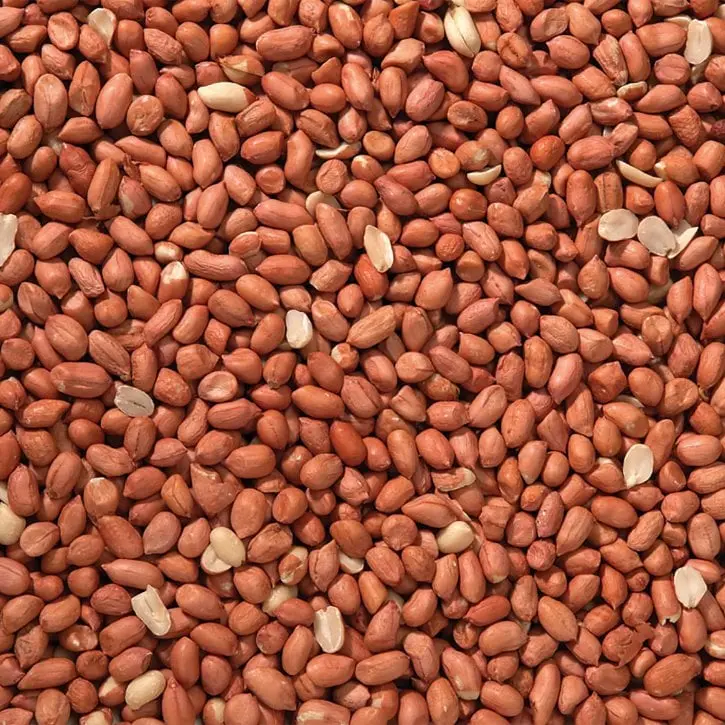 Johnston & Jeff Premium Peanuts 4kg - Energy-Rich, Shelled Peanuts for Bird Feeding and Wildlife 1