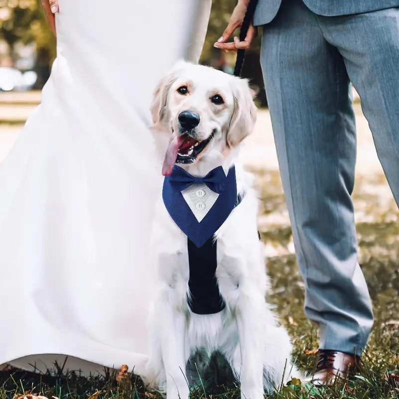 Dog Tuxedo, Formal Dog Wedding Bandana Adjustable Pet Collar with Bow, Small, Medium and Large Dog Wedding Clothing, Birthday Gifts for Dogs 8