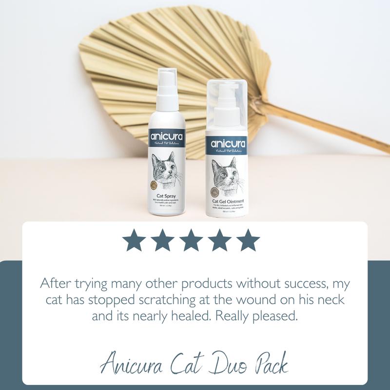 Cat Duo Pack 1