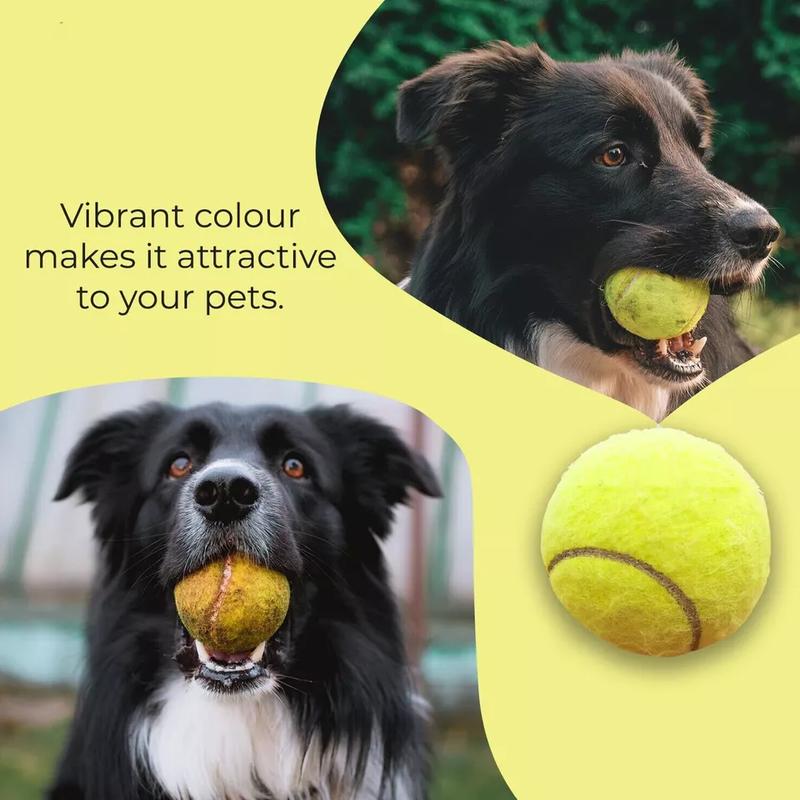 Product Introduction of 12x Tennis Balls Good Quality Sports Outdoor Fun Cricket Beach Dog Ball Game 0