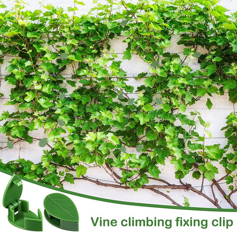10PCS Climbing Plant Wall Clips Invisible Fixture Hook Clip Vine Sticky Vines NEW 4