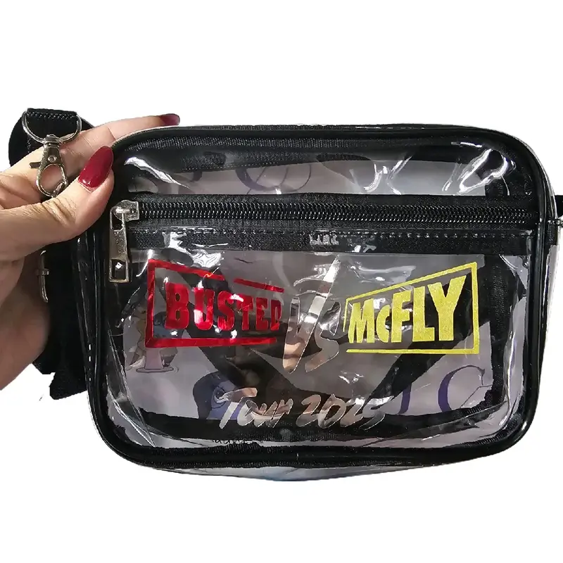 Concert Approved Stadium Bag for Busted and McFly Fans 0