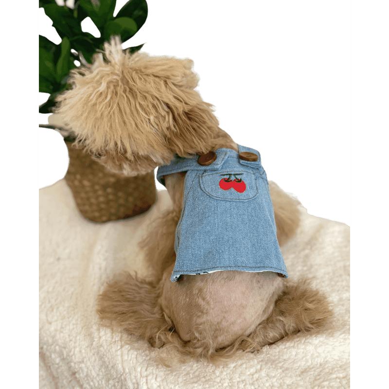 Cute Summer Denim Dog Dress 3