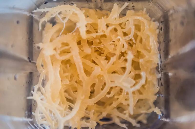 Product Introduction of Millie's Moss Premium Golden Sea Moss Gel Non GMO Health Supplement 19