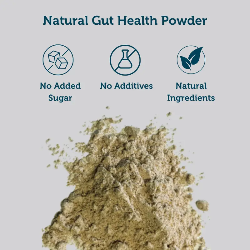 Coconut Blend - Meal Booster Gut Health Powder, Probiotic, Prebiotic Fibre, Vitamin D3, B5, B12 Natural Dietary Supplement 2