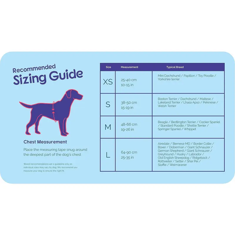 HALTI Walking Harness, Size Small, Red, Best Lightweight Dog Harness with Handle, Reflective & Adjustable, Ideal for Puppy Walks, For Small, Medium & Large Dogs 4