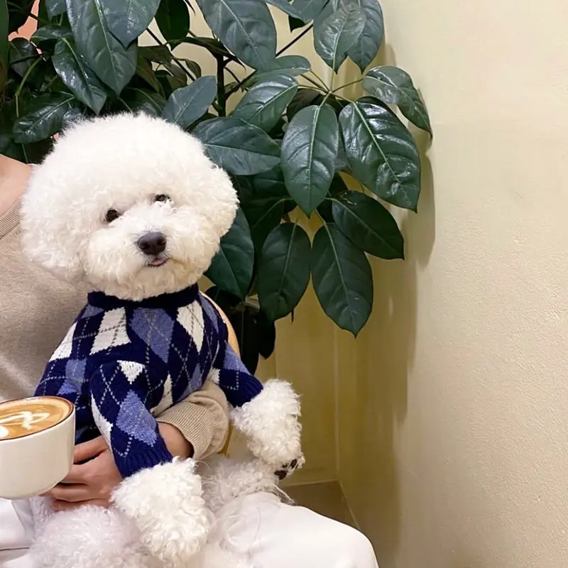 Fashionable Plaid Pet Sweater - Soft and Comfortable Fabric