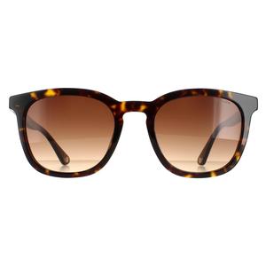 Police Sunglasses SPLB42 Origins 36 0722 Shiny Dark Havana Brown Gradient for Male - Mens Sunglasses - Menswear