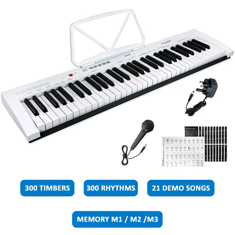 61 Keys Electronic Teaching Keyboard Digital Music Piano Instrument & Microphone 3