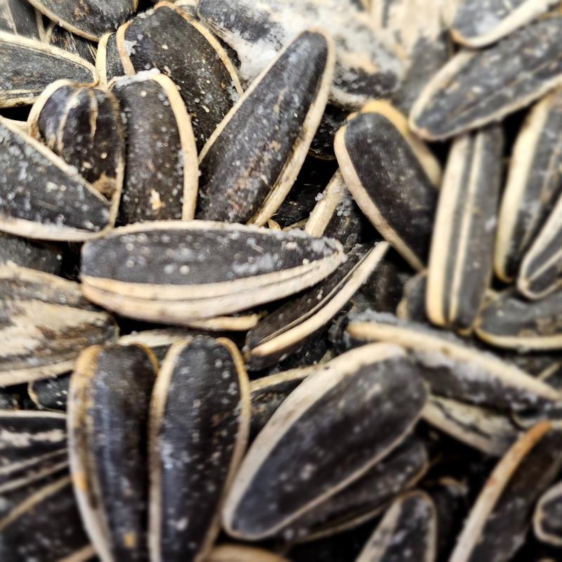 Sunflower Seeds 0