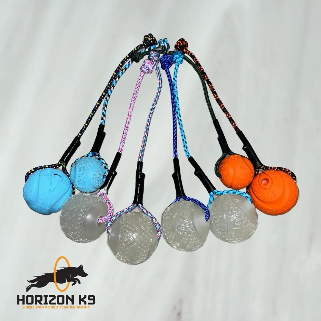 Dog reward ball for pet training and playtime fun