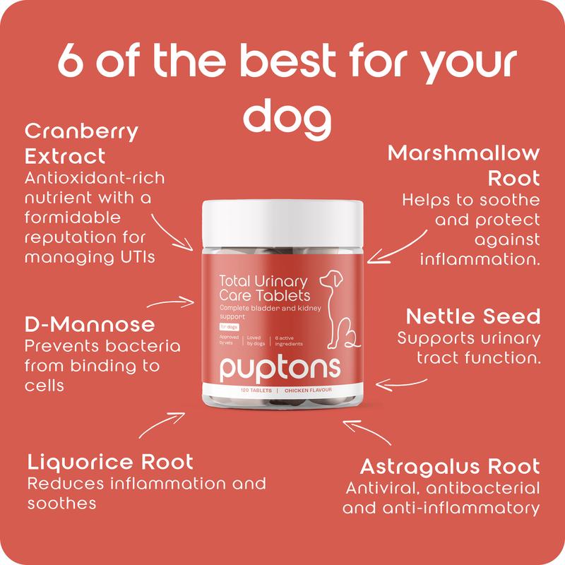 Puptons Urinary Care | Dog UTI, Incontinence & Cystitis Relief Tablets | Natural Ingredients | Advanced Bladder & Kidney Support for Dogs 3