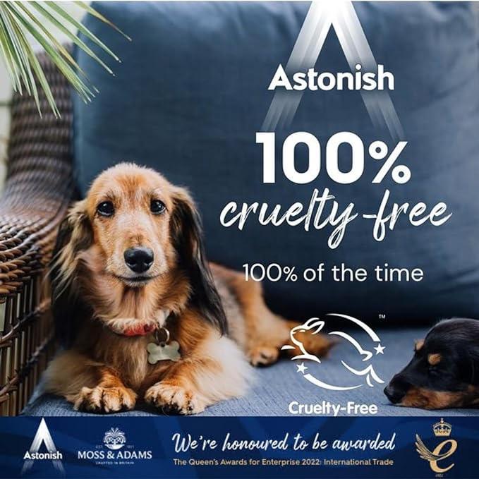 Astonish 42pk All-in-One Dishwasher Tablets 3