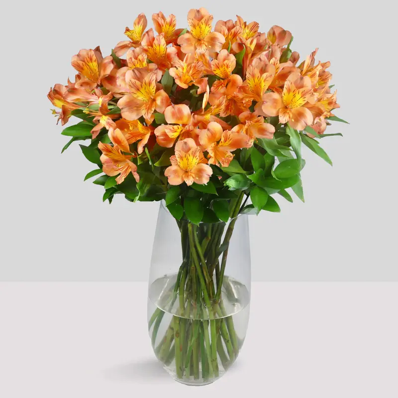 Orange Alstroemeria Bouquet - Floralty Collection - Bigger Flower Bouquets - Fresh cut flowers, Decorative, premium gifting 3