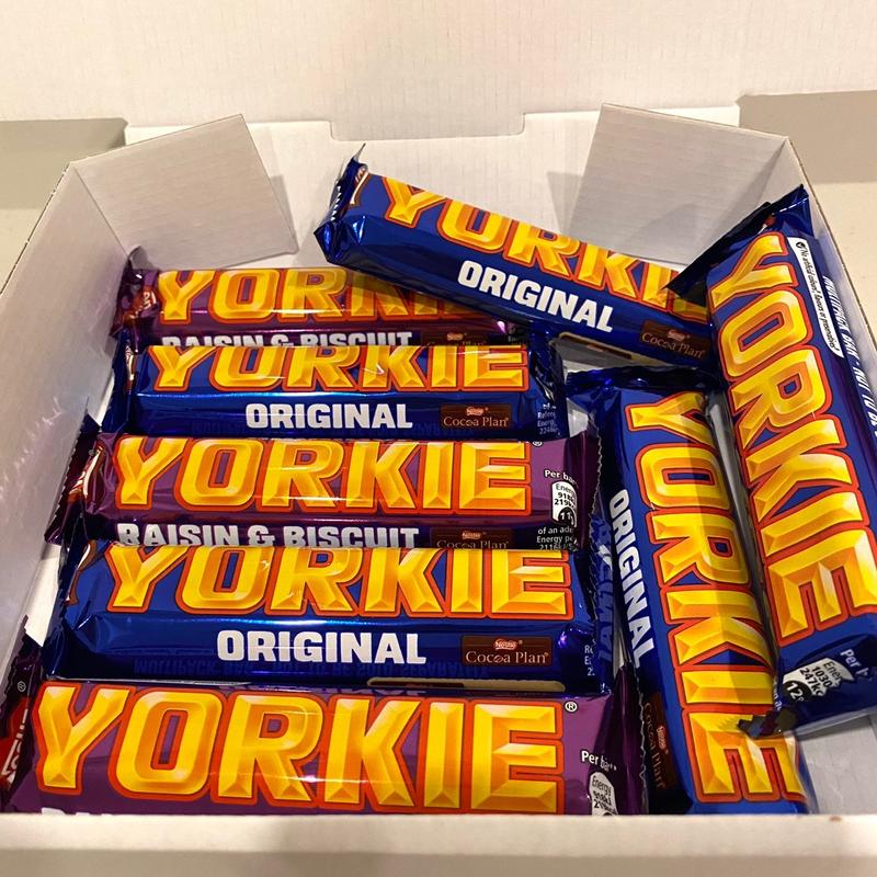 The yorkie box 0