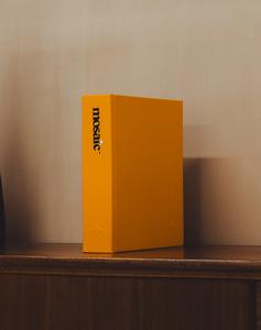 Mosaic Journal: Album with 365 Empty Slots