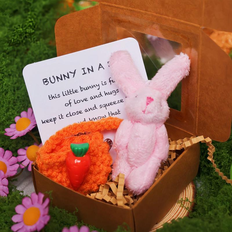 [2025 Mother's Day Gifts] 1pc, Pocket Teddy Bear Hug, Mini Plush Bears In Box, Little Pocket Bears With Inspirational Card, Sympathy Gifts For Graduation Birthday Christmas, Suitable For Both Men And Women,Christmas 4