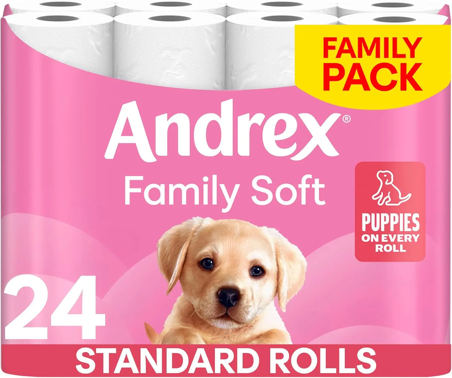 Family Soft Toilet Paper 24 Rolls (Previously Andrex Gentle Clean) Gentle on your Family’s skin– Pack of 24 Toilet Rolls Kitchen Sheets