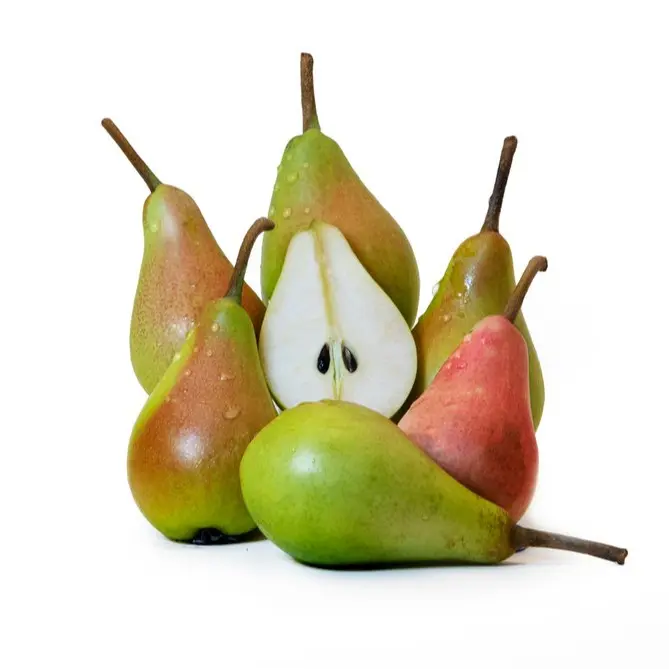 Pear - Santa Maria - My Exotic Fruit 0