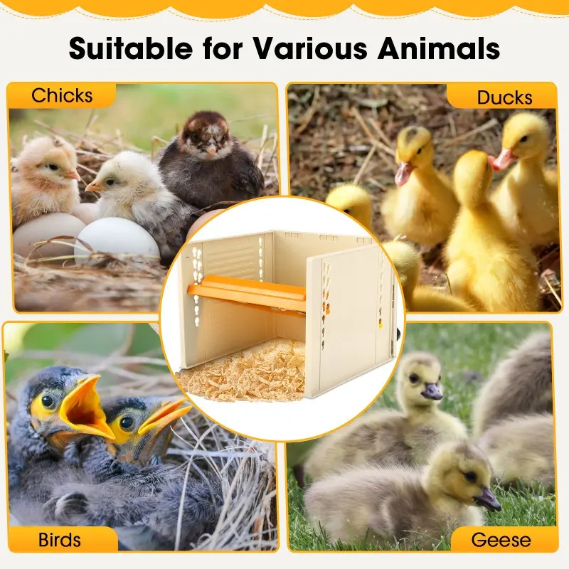 Chick Brooder Heating Plate,Egg Incubator with Adjustable Height and Angle, Brooder Plate for Up to 15 Chick, Replacement Heat Lamp 4