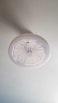 Product Review of Ceiling Fan with LED Lights for Bedroom, 3-speed LED Fan Lamp, Modern Remote Control Fan with LED Light, Indoor Cozy Lighting, Decorative Fan Night Light for Living Room from n**a 1