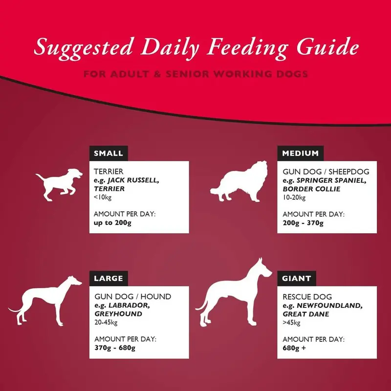 Arkwrights Complete Dry Dog Food 15kg with Beef Active Sporting Working Dogs 3