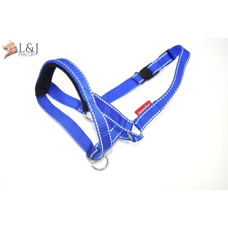 Reflective Padded Head Collar | Dog Training Halter Stops Dog Pulling Behaviour | Outdoor Hi-vis | Large, Small Dogs | Champion 6