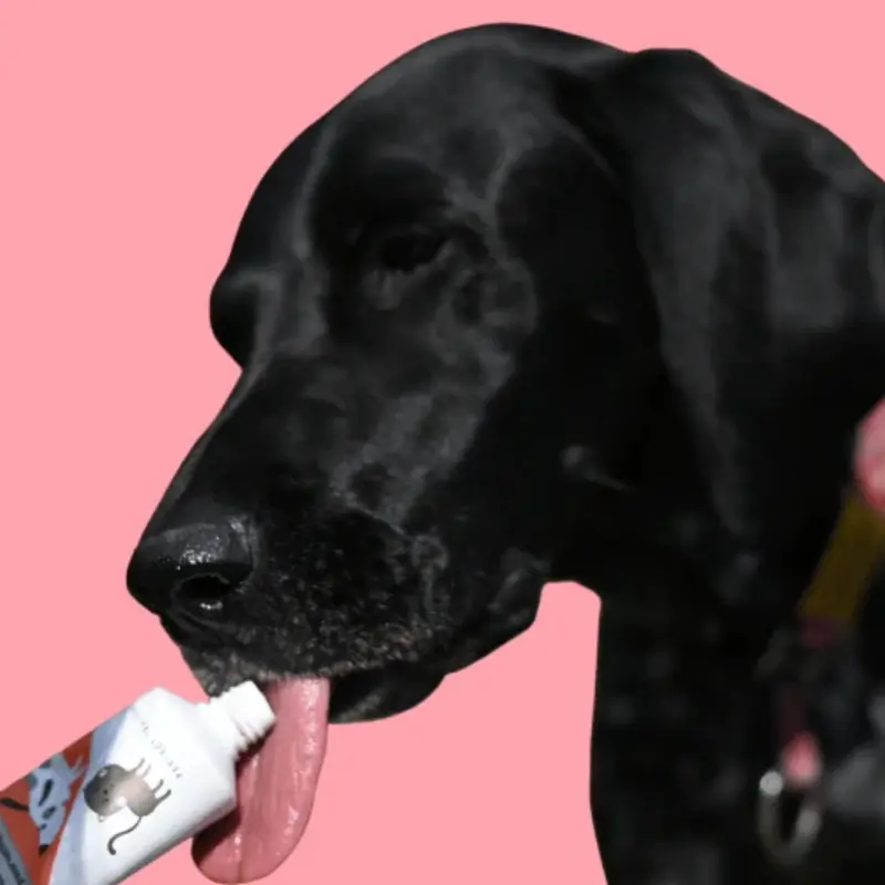Fred And Ginger Luxury Paste For Dogs 3
