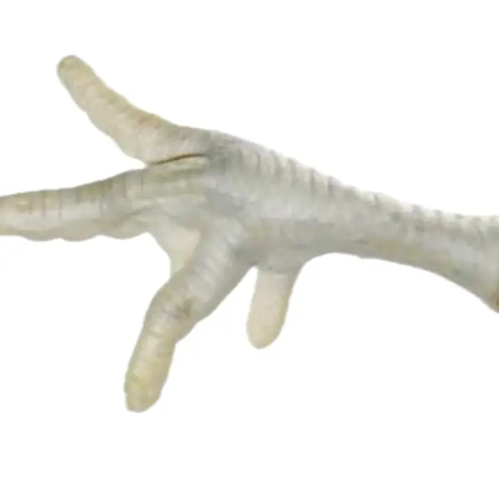Puffed chicken feet